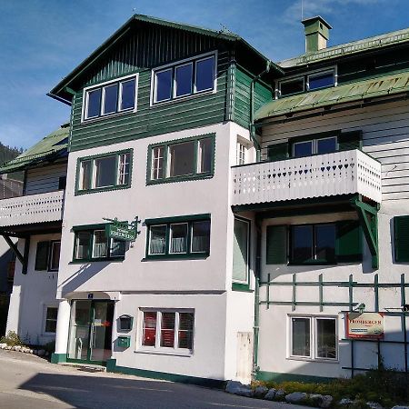 Apartment Haarlem Gosau Exterior photo